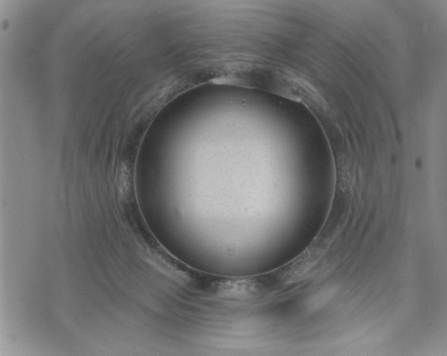 X0000072960077200608041203