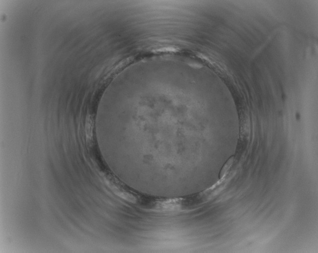 X0000072960078200608041203