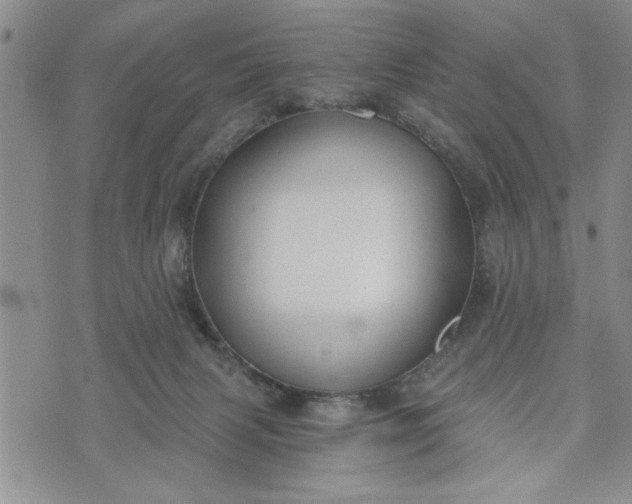 X0000072960079200608041203