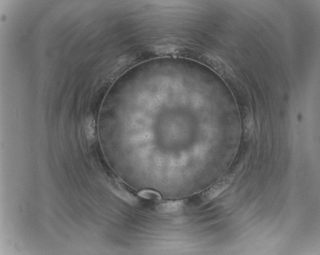 X0000072960081200608041203