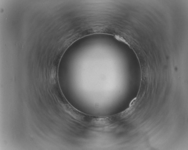 X0000072960082200608041203