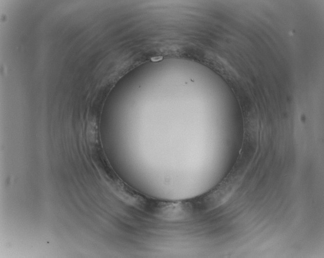 X0000072960083200608041203