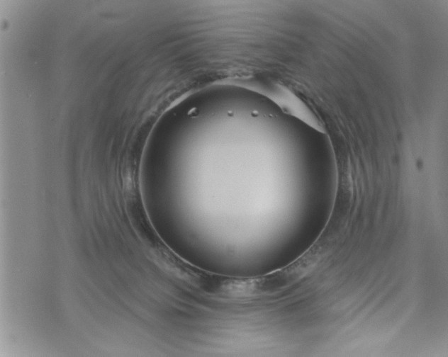 X0000072960084200608041203