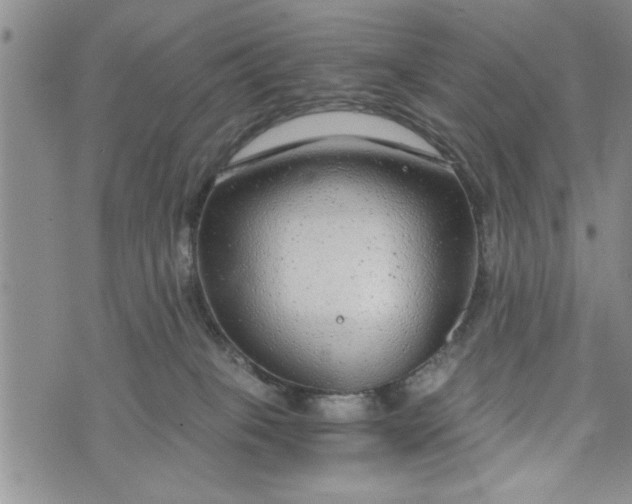 X0000072960085200608041203