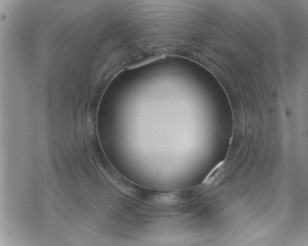 X0000072960086200608041203