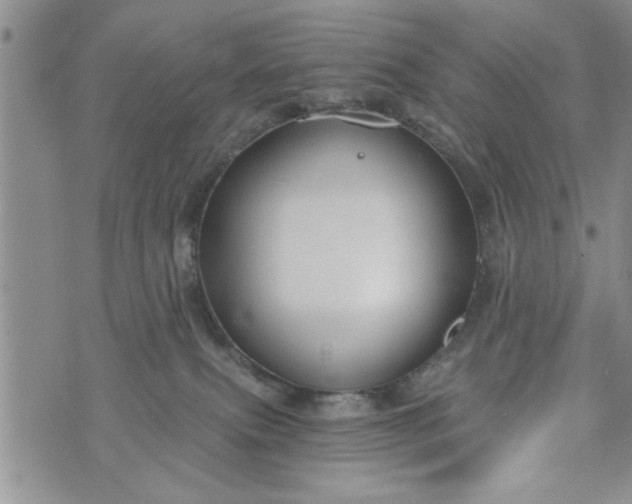 X0000072960087200608041203