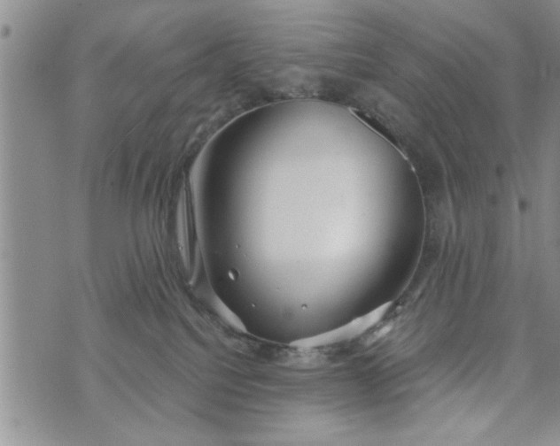 X0000072960088200608041203