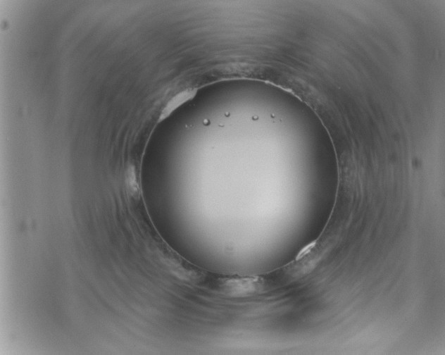 X0000072960089200608041204