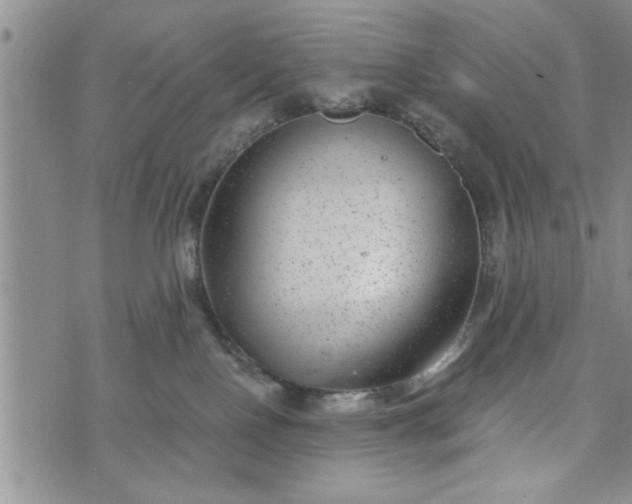 X0000072960090200608041204