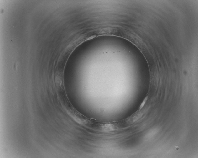 X0000072960091200608041204