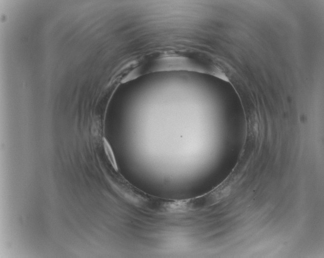 X0000072960092200608041204