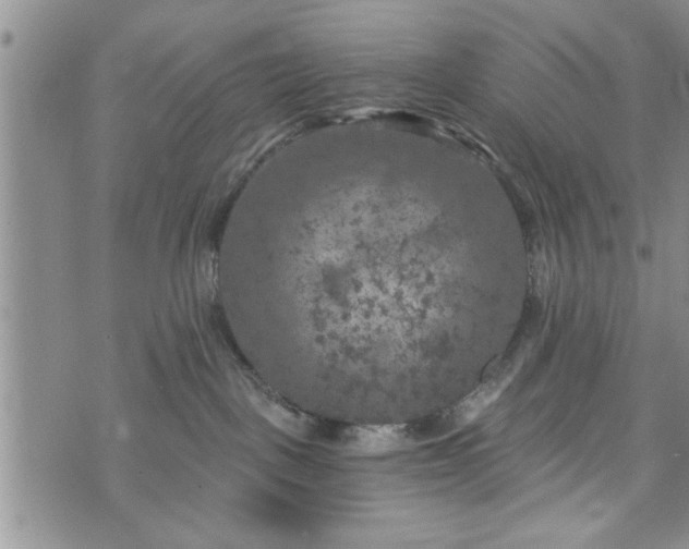 X0000072960093200608041204