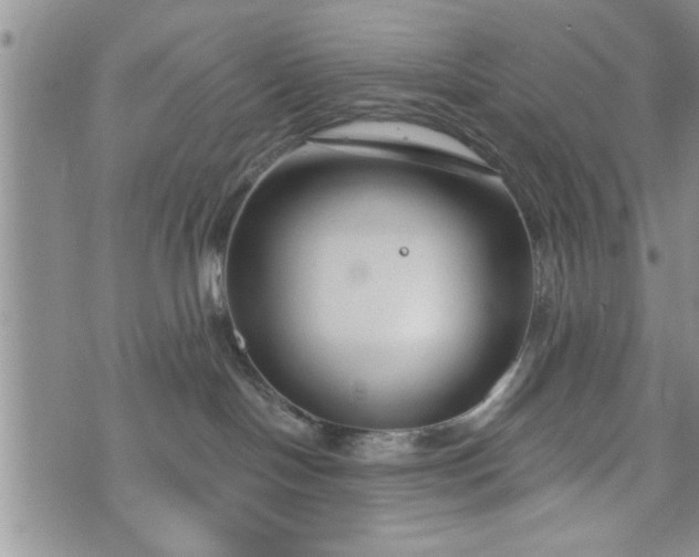 X0000072960094200608041204