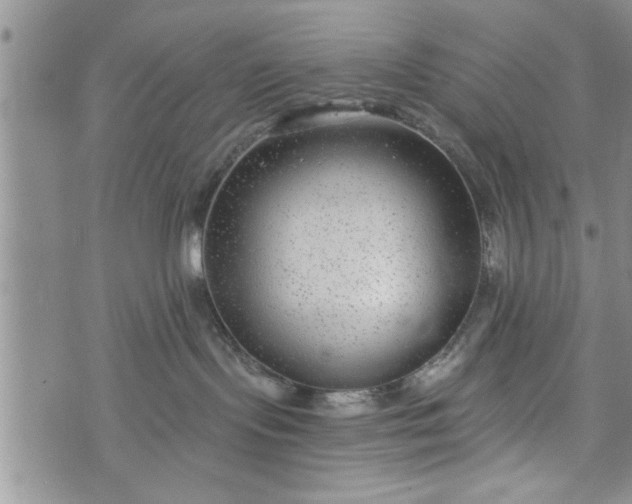 X0000072960095200608041204