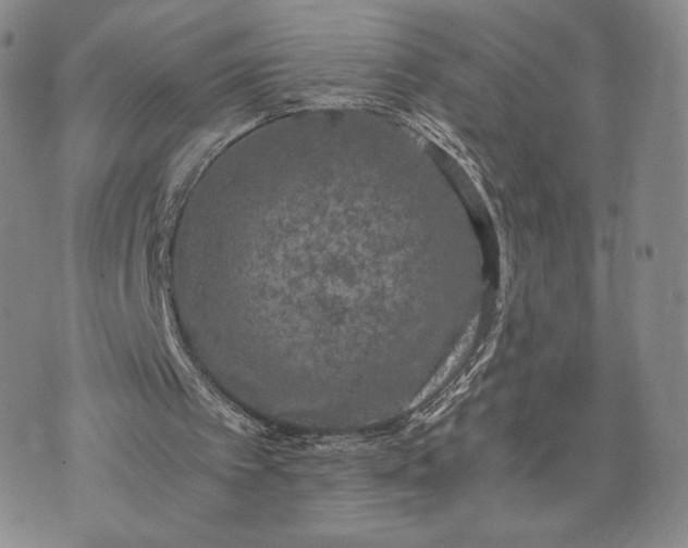 X0000072960097200608041203