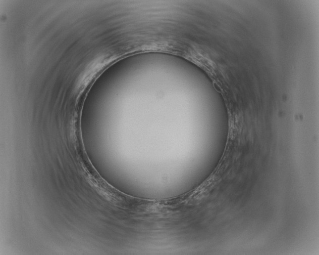 X0000072960098200608041203