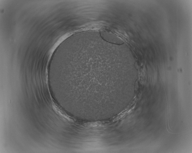 X0000072960100200608041203