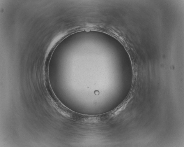 X0000072960102200608041203