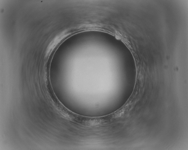 X0000072960103200608041203