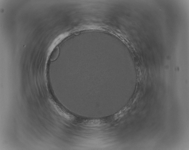 X0000072960104200608041203