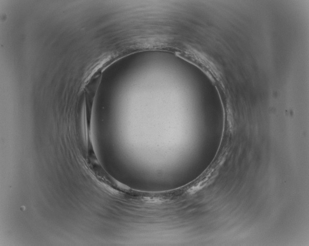 X0000072960105200608041203