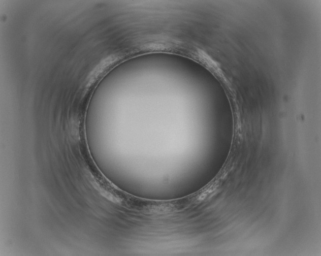 X0000072960106200608041203