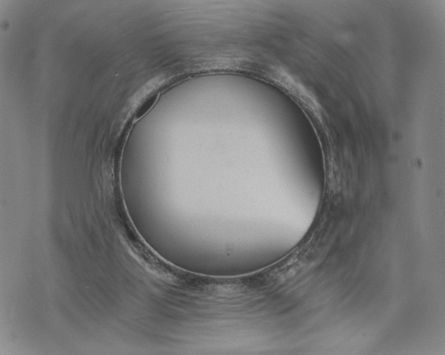 X0000072960107200608041203