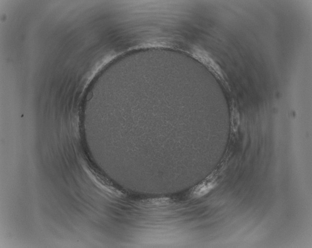 X0000072960108200608041203