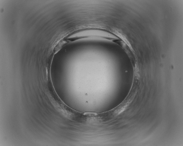 X0000072960109200608041203