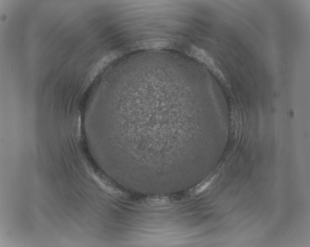 X0000072960110200608041203