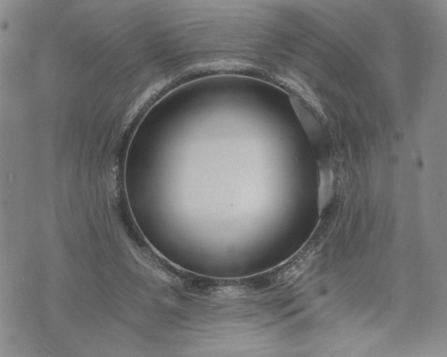 X0000072960111200608041203