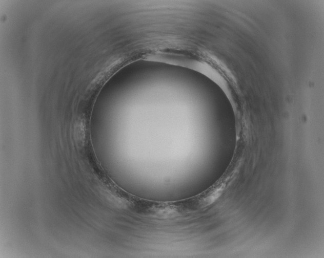 X0000072960113200608041203