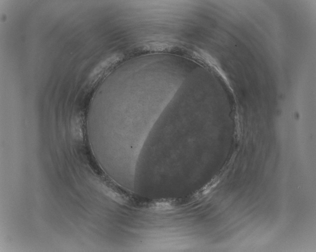 X0000072960114200608041203