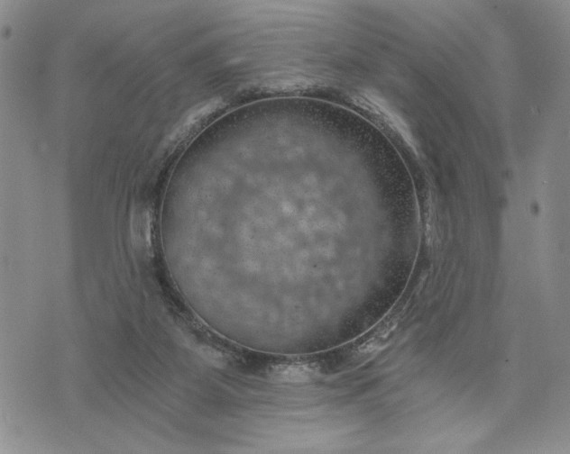 X0000072960115200608041203