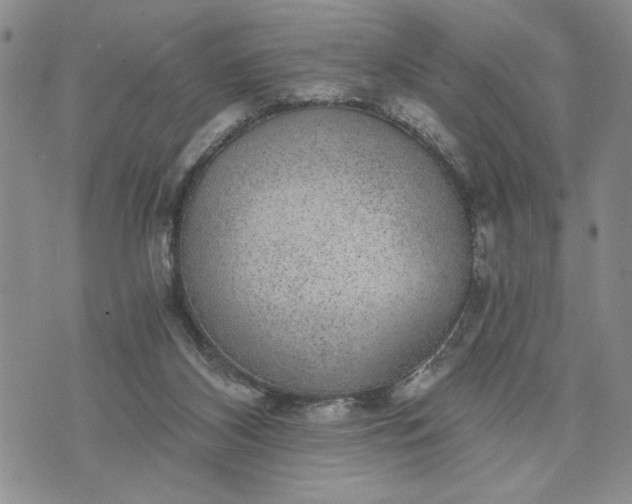 X0000072960116200608041203