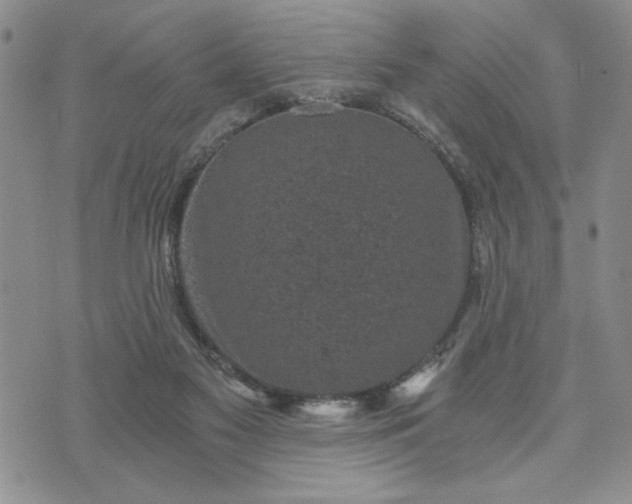 X0000072960117200608041203