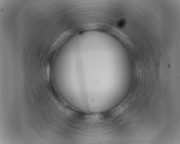 X0000072960118200608041202