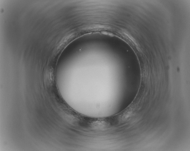 X0000072960119200608041202