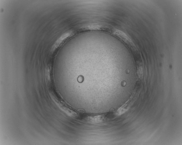 X0000072960120200608041202