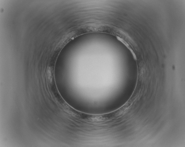 X0000072960121200608041202