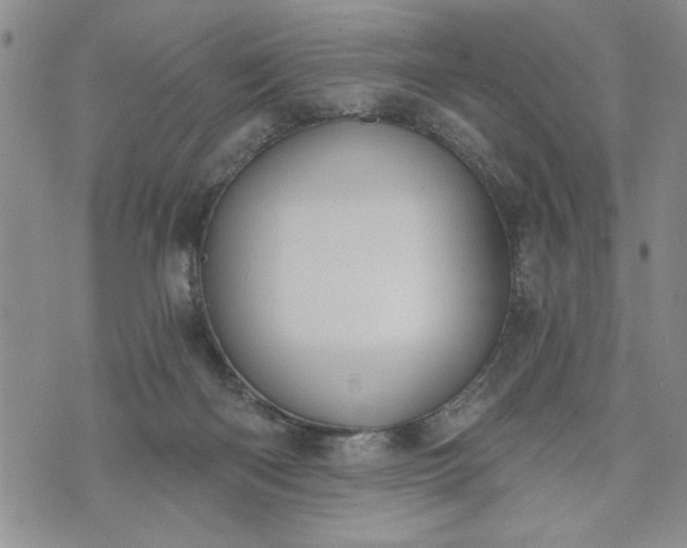 X0000072960122200608041202