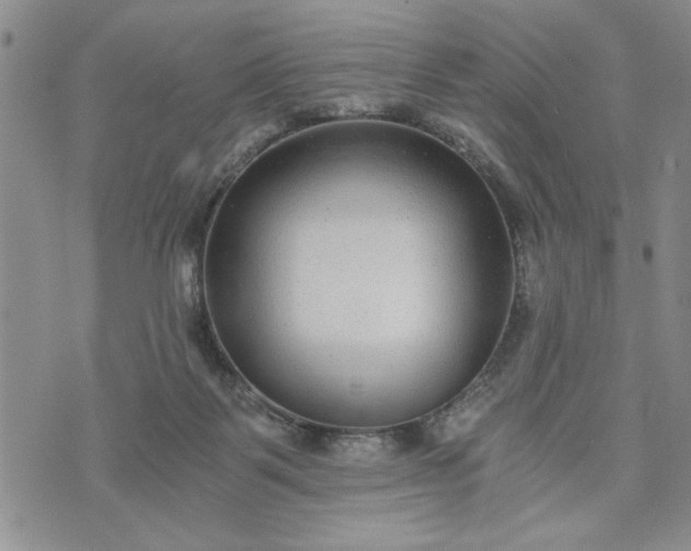 X0000072960123200608041202