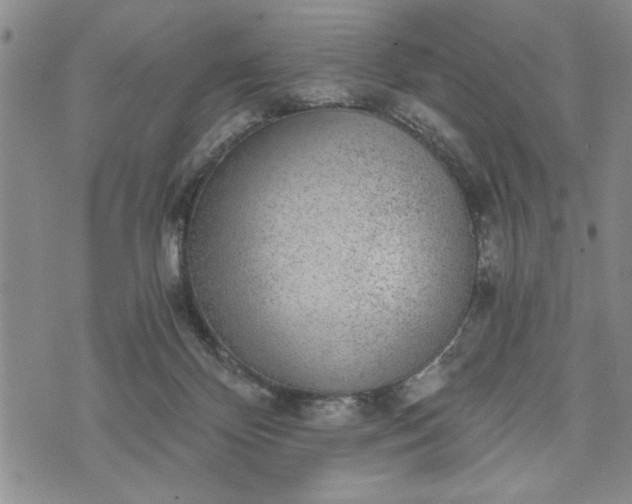 X0000072960124200608041202