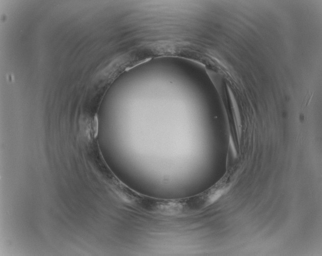 X0000072960125200608041202