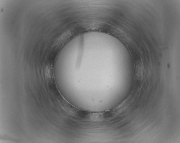 X0000072960126200608041202