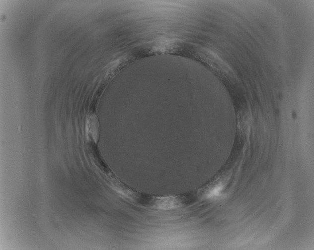 X0000072960127200608041202