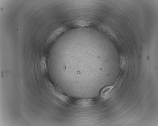 X0000072960128200608041202