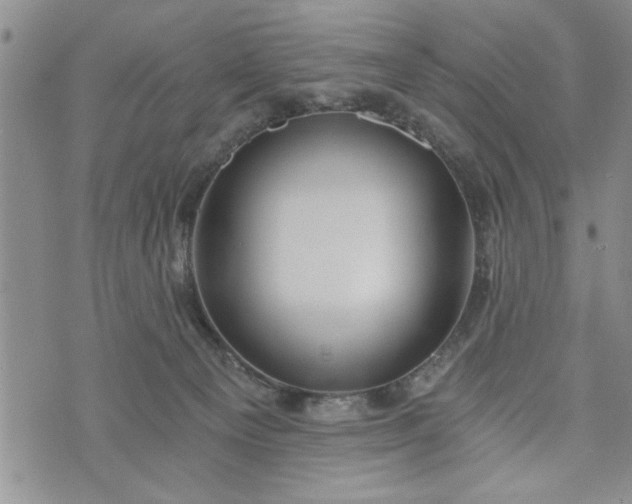 X0000072960129200608041202