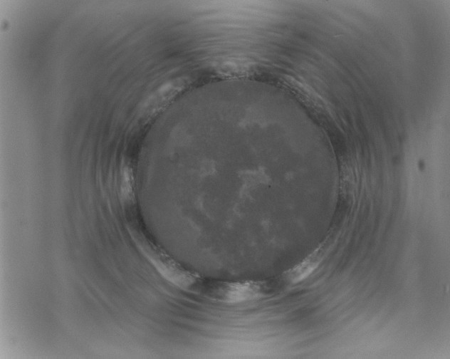 X0000072960130200608041202