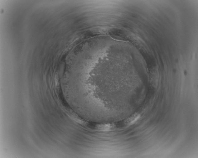 X0000072960131200608041202